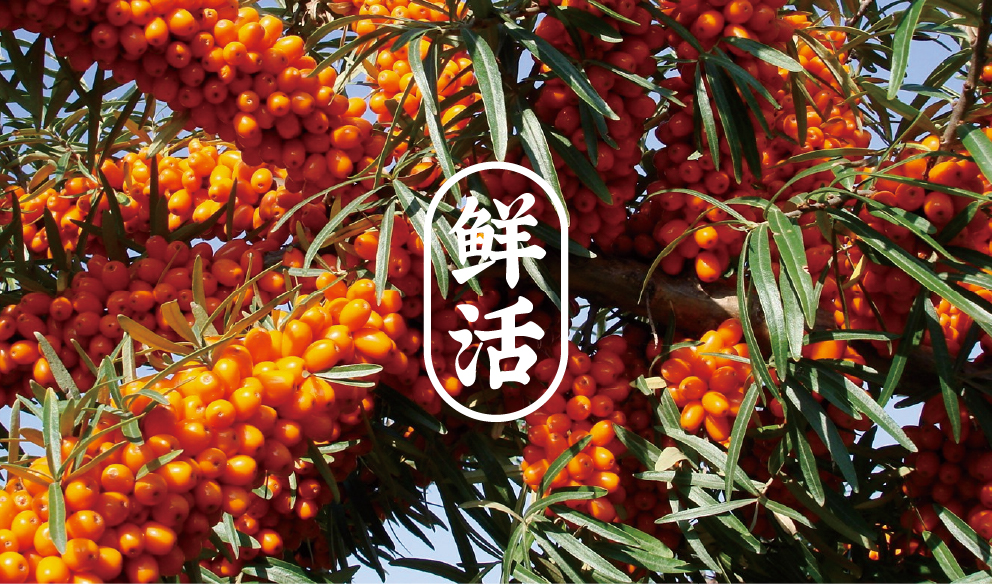 画板 13@992x-100 画板 13@992x-100